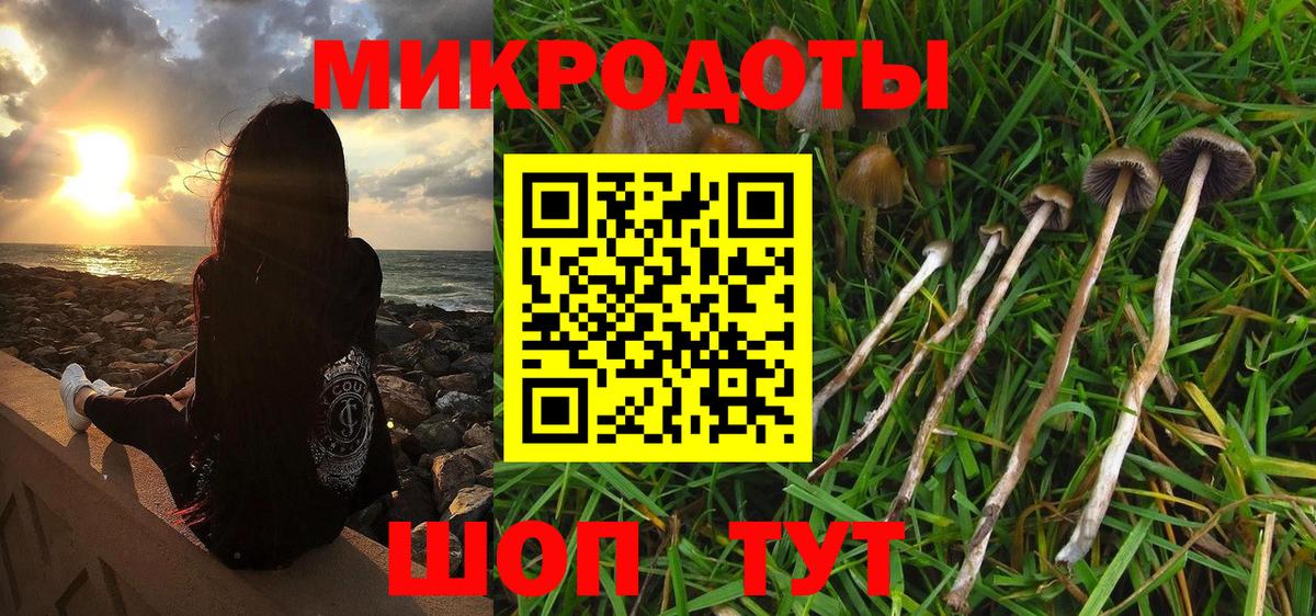 Галлюциногенные грибы Magic Shrooms Грязи